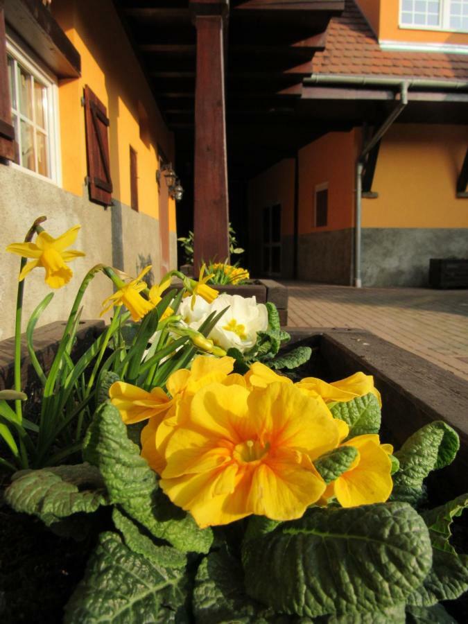 Maison D'Hotes La Ferme Pierre*** Donnenheim 외부 사진